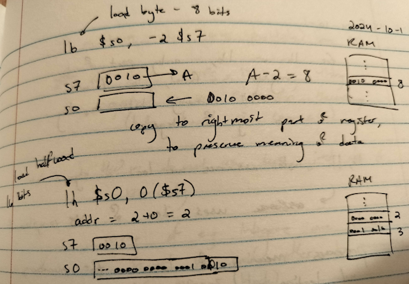 How lb and lh work in memory